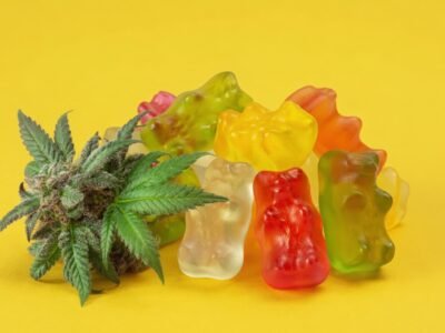 Choosing High-Quality CBD Edibles: Purity, COA, and Flavor Profiles